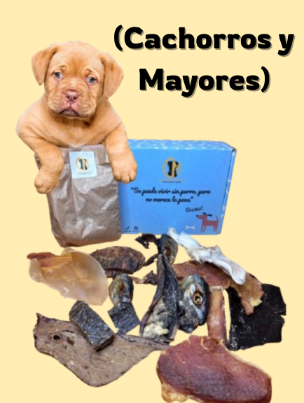 Caja de Snacks Naturales de Cabañas del Monte para perros, una selección premium de deliciosos y saludables masticables. Cada caja incluye una variedad de snacks 100% naturales, sin aditivos ni conservantes artificiales