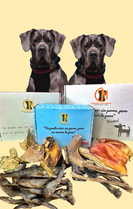 Snackbox tu eliges