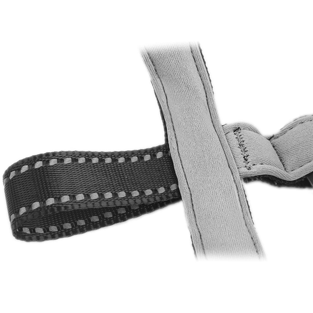 Bozal con cesta acolchada.