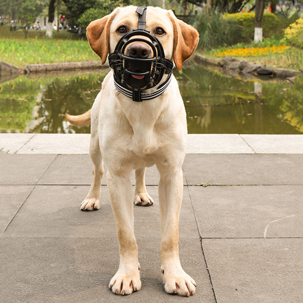 Bozal con cesta acolchada.