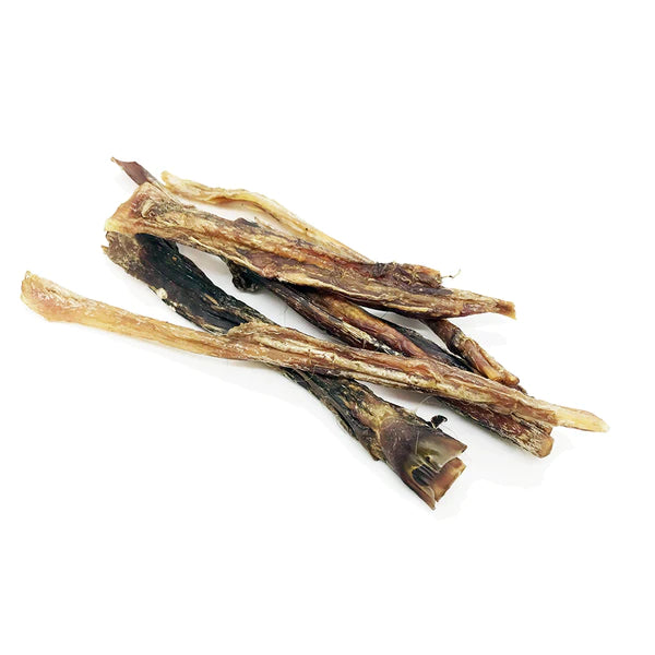 Tendones de Equino, 100g
