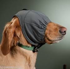 Calming Cap de Cabañas del Monte para perros, confeccionada en suave tela gris claro, diseñada para reducir el estrés y la ansiedad. Este accesorio cubre la cabeza y los ojos de tu mascota, limitando suavemente su visión para ayudarla a mantenerse calmada durante situaciones estresantes como tormentas, visitas al veterinario o viajes en coche. Equipado con un ajuste elástico y velcro, asegura un ajuste cómodo y seguro.