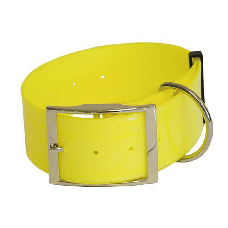 Collar resistente al agua
