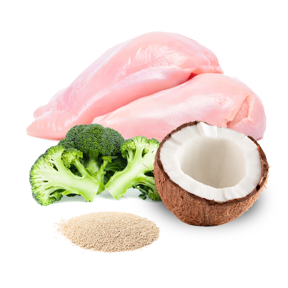 Menú Momento de Ternura (Pollo)