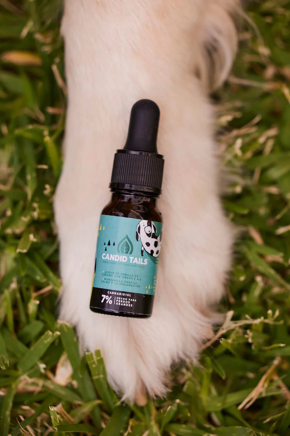 Aceite de cañamo de amplio espectro al 7% para perros grandes
