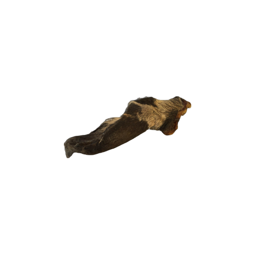 Oreja de vacuno