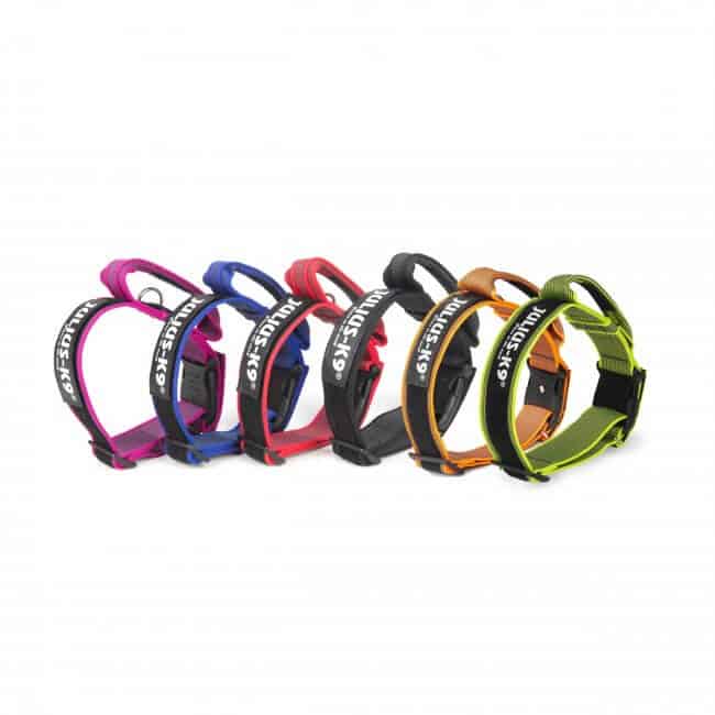 Collar asa de agarre Julius K9