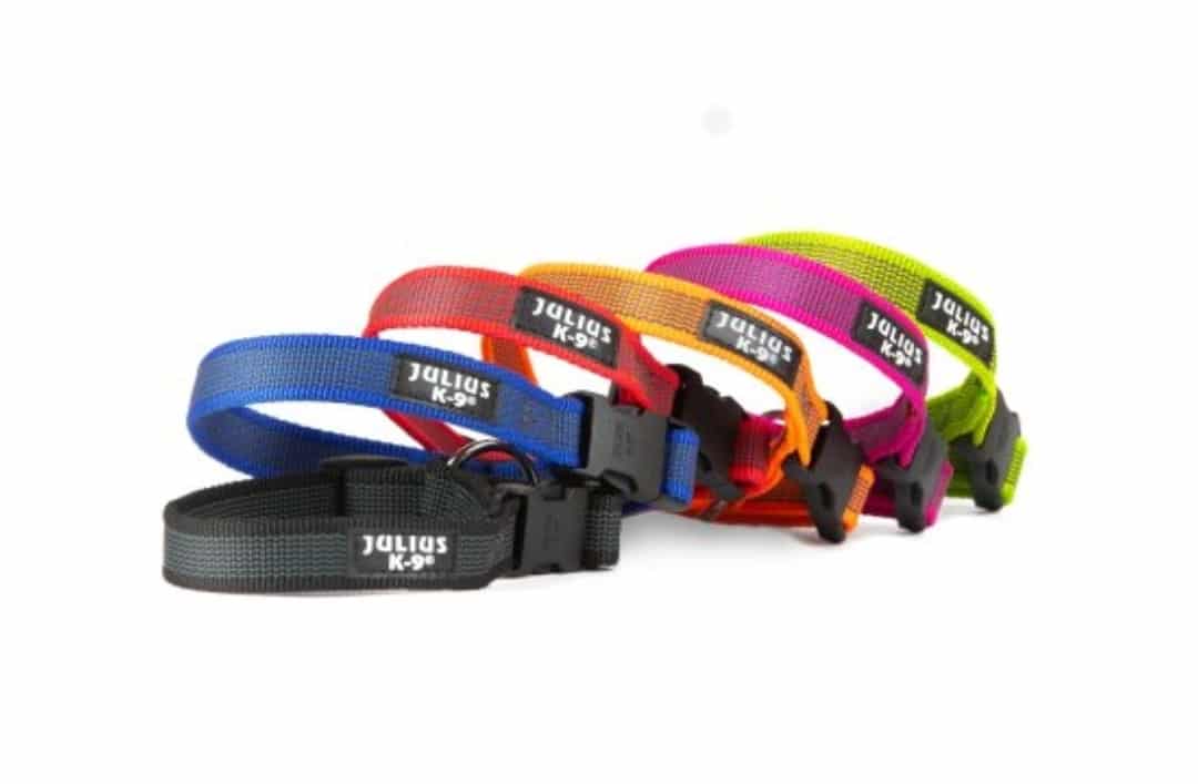 Collar Julius K9