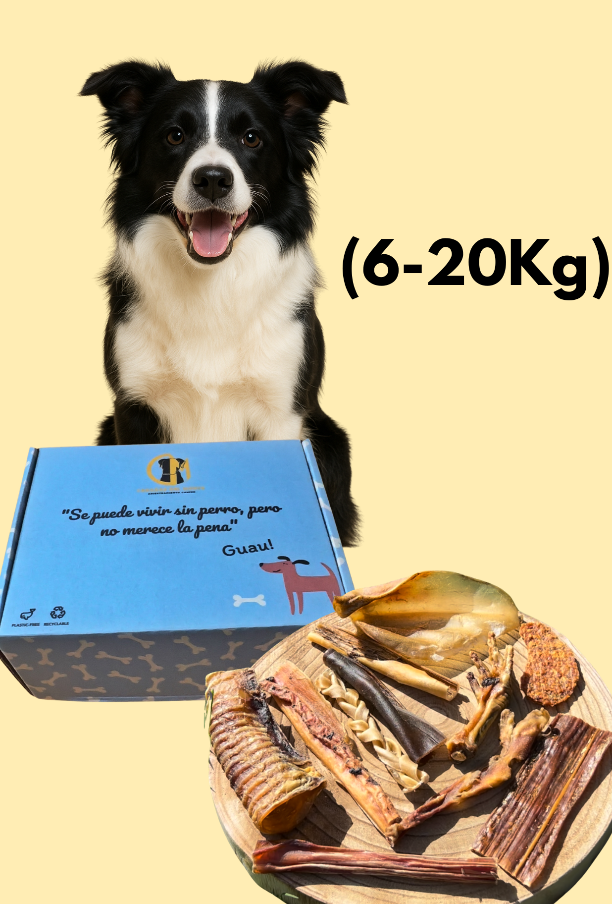 SnacksBox Gourmet (6 a 20kg)
