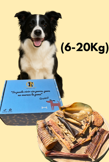 SnacksBox Gourmet (6 a 20kg)