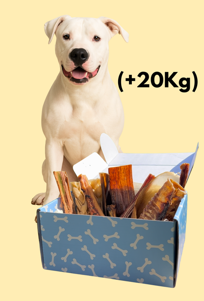 SnacksBox Titanes (+20kg)