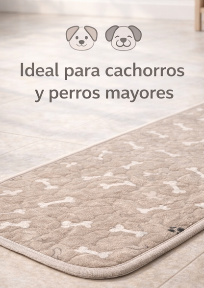 Alfombra absorbente (Orina)