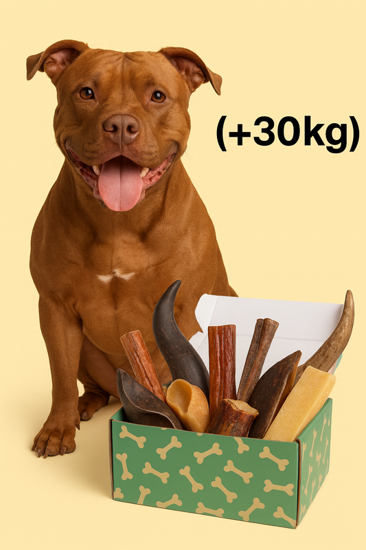 Snacks Box Titanes Prime