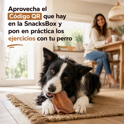 SnacksBox Gourmet (6 a 20kg)