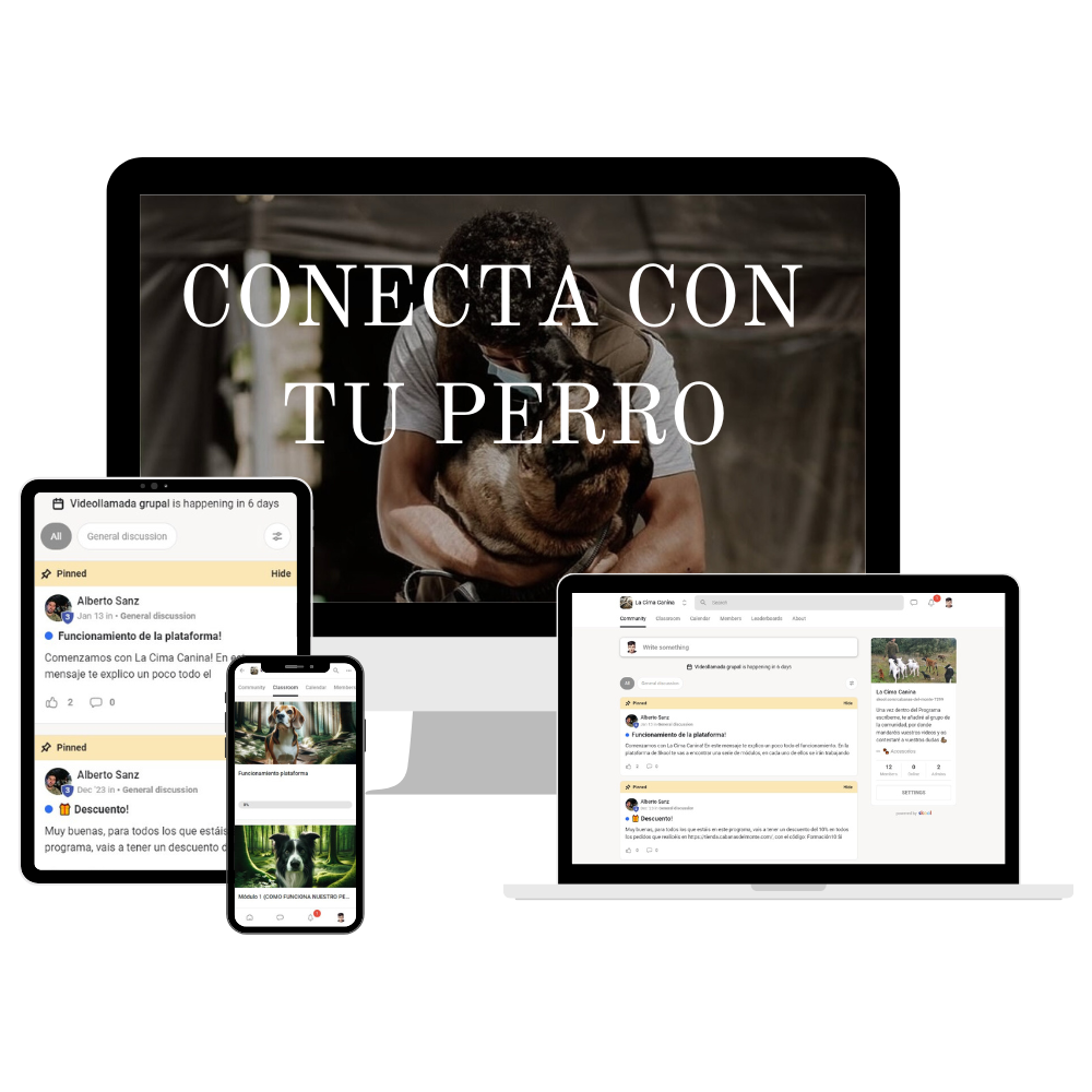 Curso Conecta Con Tu Perro