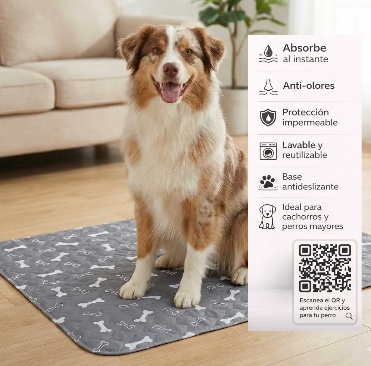 Alfombra absorbente (Orina)