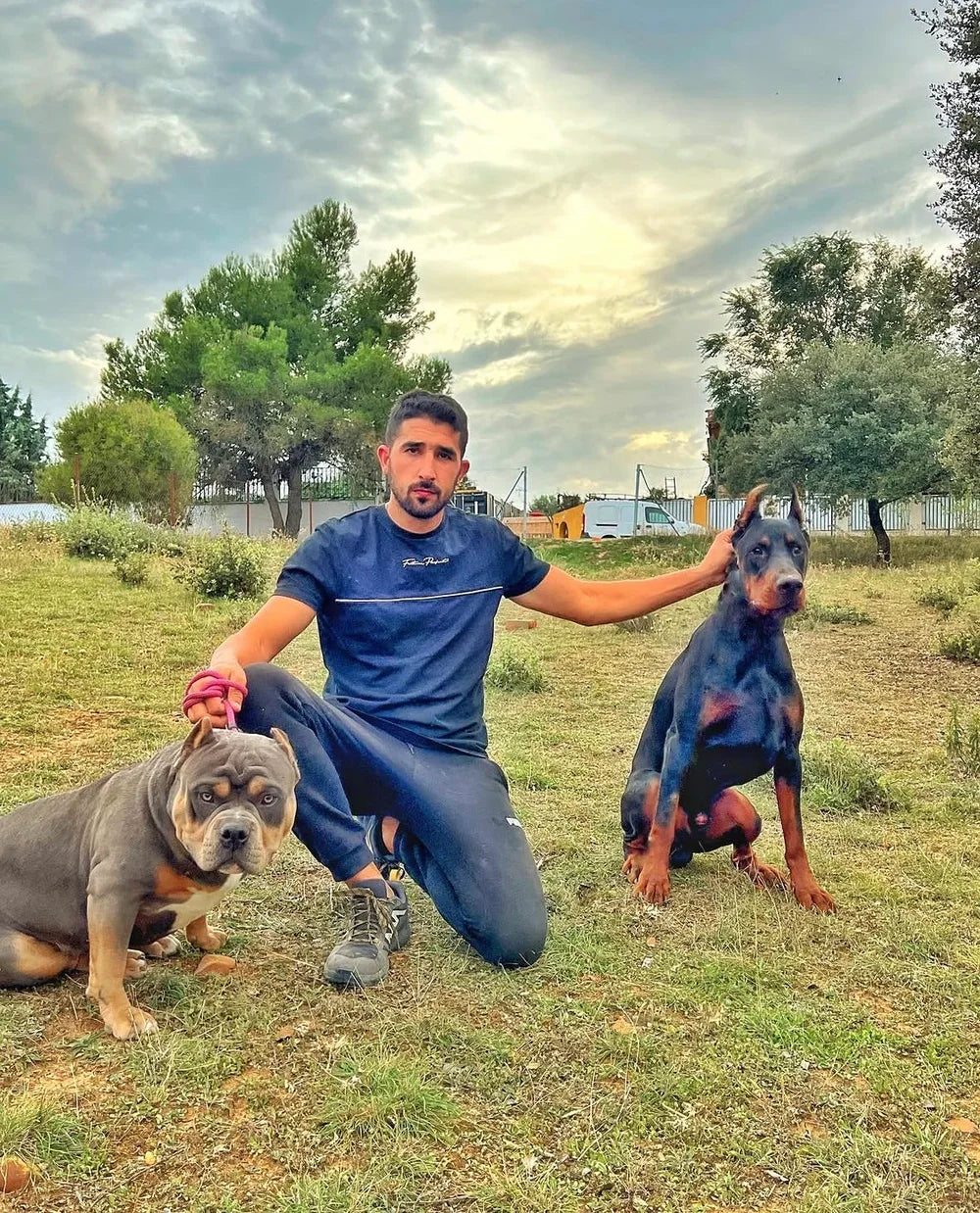 Alberto en el campo junto a dos perros adultos